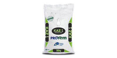 Kaz 1 Yemi - Proyem