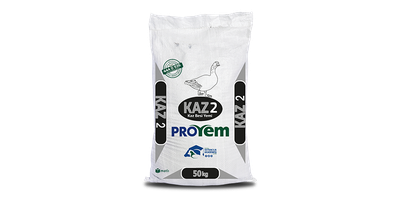 Kaz 2 Yemi - Proyem