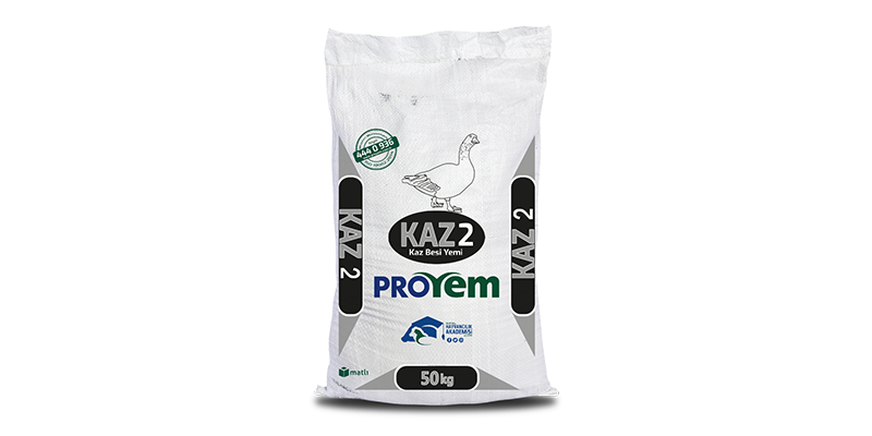 Kaz 2 Yemi