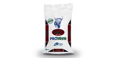 Mat Besi Yemi - Proyem