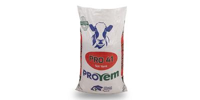 Pro 41 Süt Yemi - Proyem