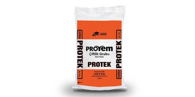 Protek Besi Yemi